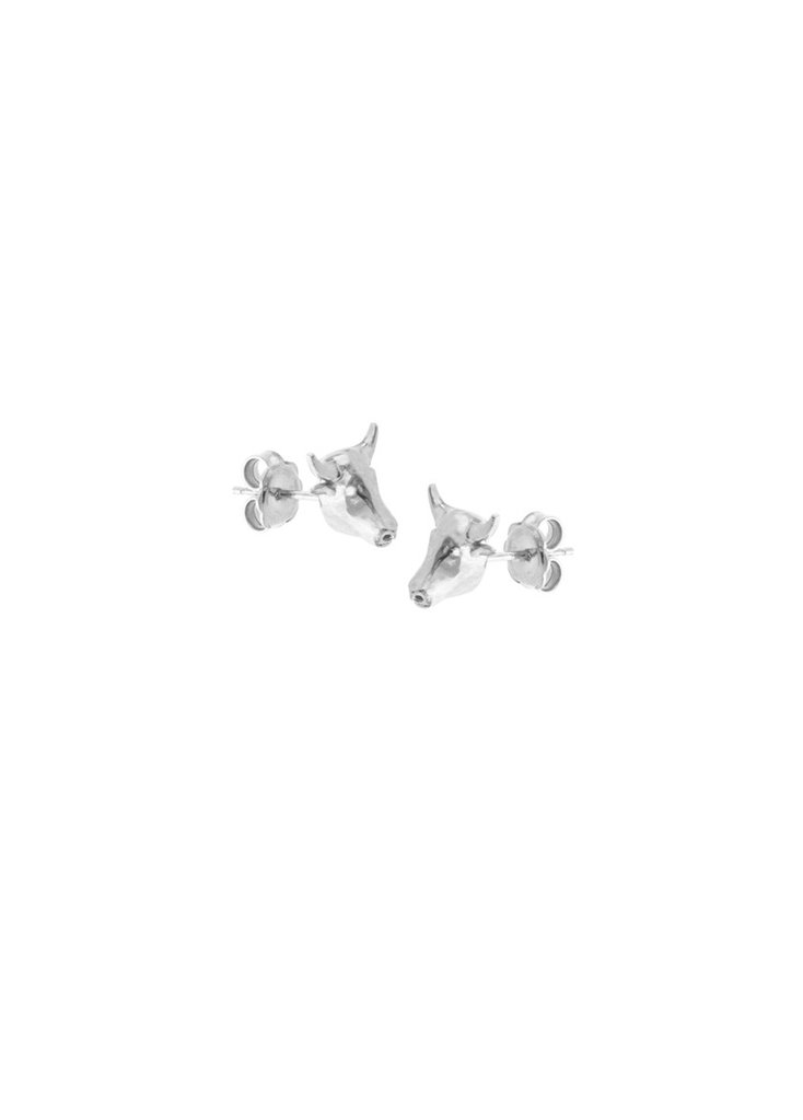 tiny bulls stud